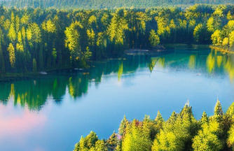 关于爱情的名句名言-爱情名言