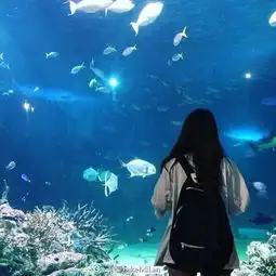 背影头像女生唯美漂亮