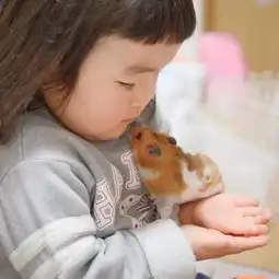 丫头,我真的好喜欢你