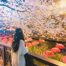 韩国清纯女生头像背影唯