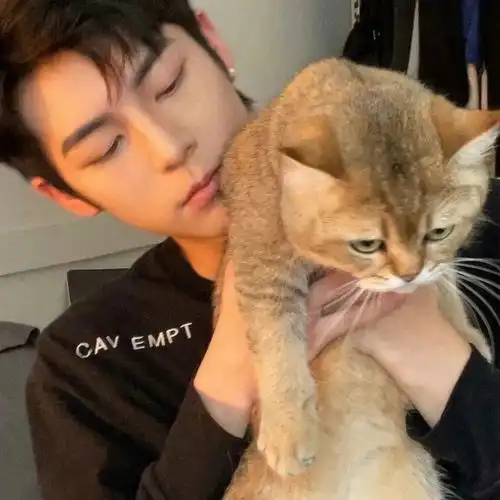 高冷男生头像我不是不回你消息,我是不识字