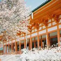 好看的花丛风景女土头像微信头像图片大全