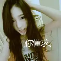 呆萌可爱小动物头像微信头像图片大全