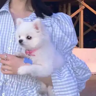 女生头像照片真人露脸部