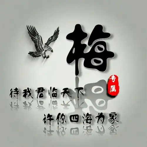 用你的姓氏做微信头像,太美了,43张高端大气签名头像,请带走