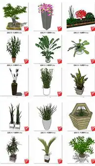 最终幻想美女vanille模型设计图下载图片6.68mb游戏动漫库单体模型