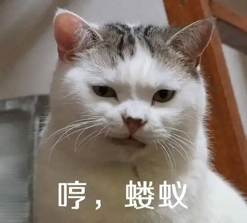 幽默笑话单身时间久了真的会出事我恨不得找个地缝钻进去