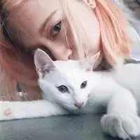女生和小猫的头像可以当情头微信头像图片大全
