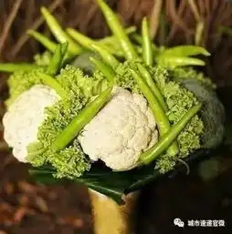 小编叨叨叨女子家中安装考勤机管理老公,晚归罚款