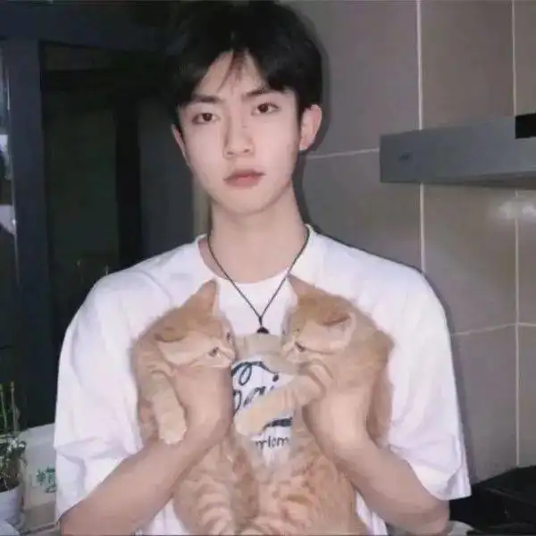 微信头像丨情侣头像,女生头像1230