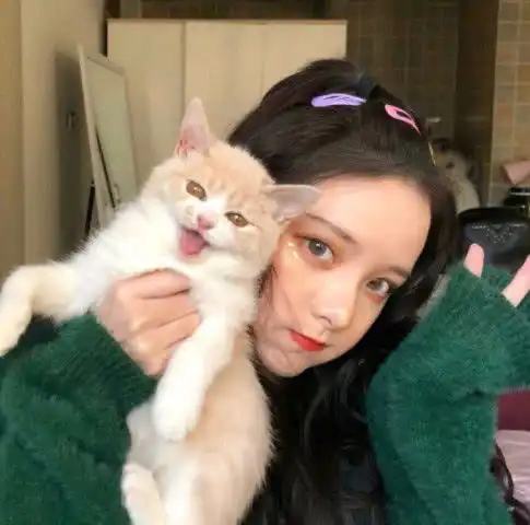 男友我错了,心软的姑娘没事的,这3句话拴他一辈子