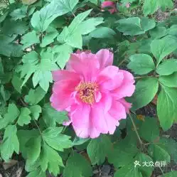 电话,地址,价格,营业时间苏州周边游