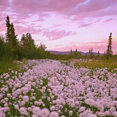 lutube路口检测中国iosandroid通用版app最新版