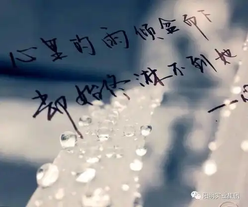 无标题