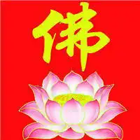佛教莲花图片大全头像最好看漂亮的佛教莲花图片