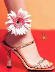 无标题.jpgshuxiuyan的时尚图片