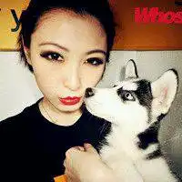 qq头像背着书包女生一句君无戏言一句妾等千年