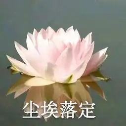 中老年佛系花花表情包