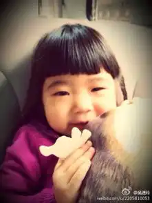 女童搭37辆顺风车游7省爸爸2姐姐萌态令人着迷