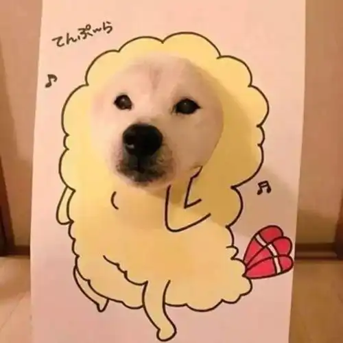 优质闺头ins高质感头像闺蜜头像一人一半仙女ins头像森系闺蜜头像