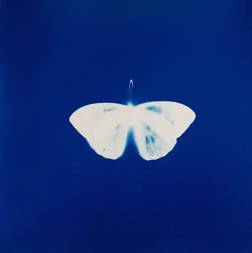 蓝色头像kleinblue