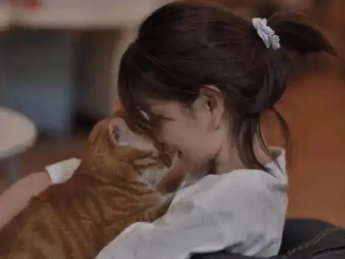 壁纸丨所有快乐无需假装