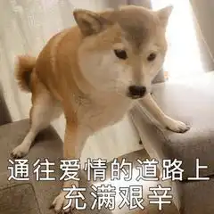 不显示该聊天你在用吗