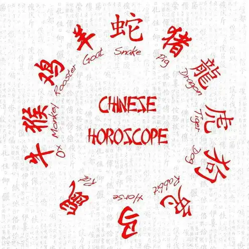 十二生肖的爱情婚姻,完美的六合有没有你的一对
