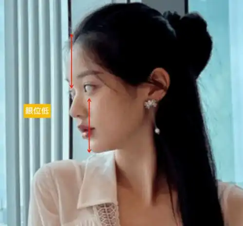 眼位高低决定了你是纯欲童颜美女,还是高智力感的姬圈天菜...