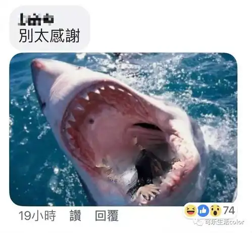 泳池靓相拍摄失败,女生被网友爆笑p图