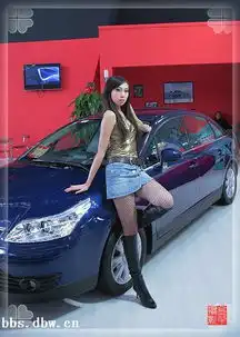 哈尔滨百姓购车周掠影之美女车模