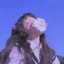 头像与其对我说甜言蜜语不如陪我过春夏秋冬