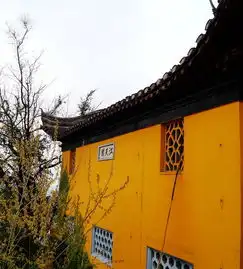 女佛头像佛学院