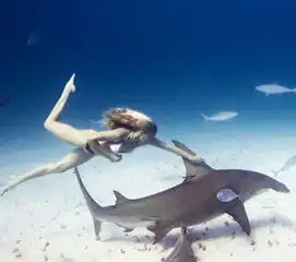 乌审旗公安破获6.06特大盗窃天然气案新华