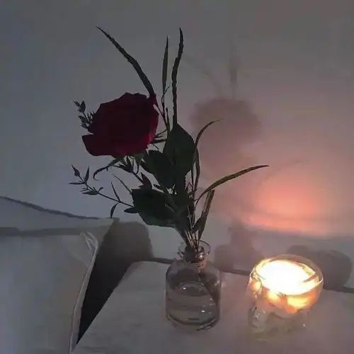 神仙背景图丨如果你瞄准月亮即使唯美图片我要个性网