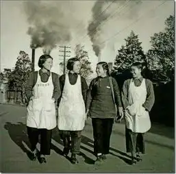 新中国初期我们这样走过抗美援朝公私合营湘女进疆......