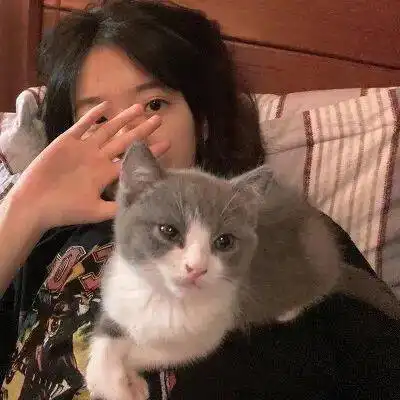 女生抱小猫头像