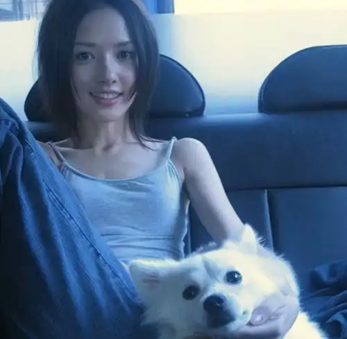 头像我看远山远山悲悯