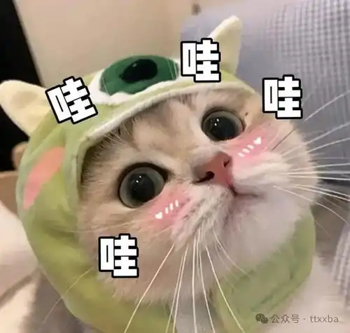 爆笑经典女友搞笑冷笑话,实在是太搞笑了