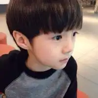 呆萌熊图片大全微信头像图片大全