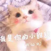 可爱表情包卖萌女孩微信头像图片大全