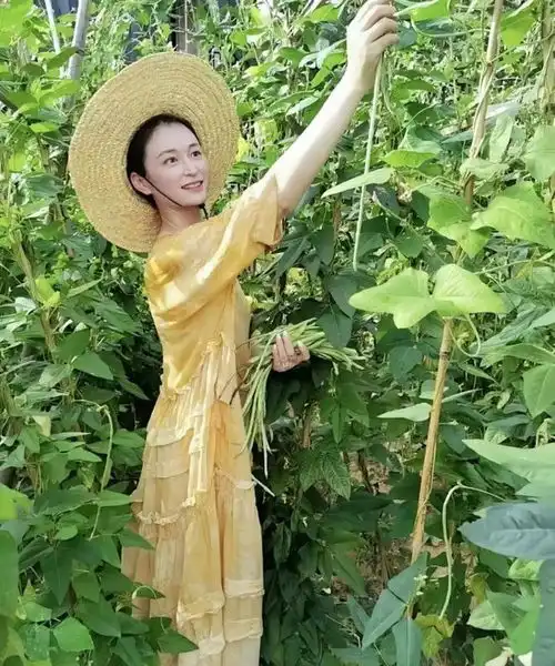 浙江34岁女网红连生9娃,目标凑齐12生肖她的晒娃,刺痛了多少人的心