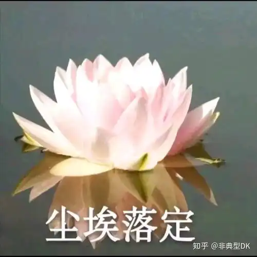女佛头像南无阿弥陀佛