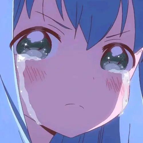 小仙女用的动漫女头