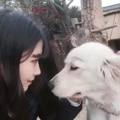 qq头像女高清头像你不爱