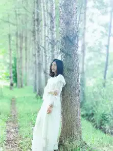 临时的伙伴,临时的旅行,出走去丽江