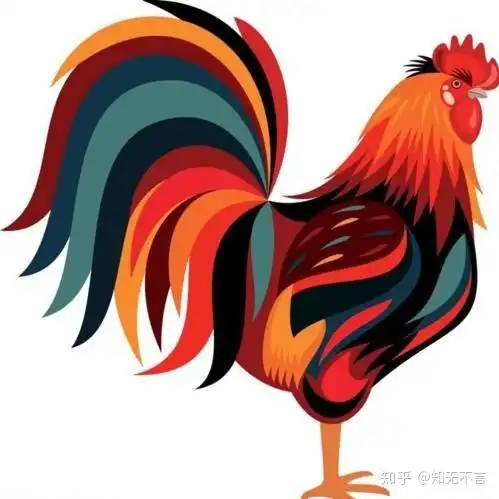 明朝末年大公鸡,重达40斤