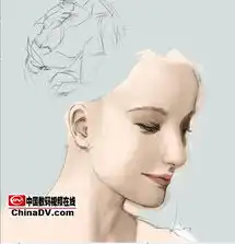 photoshop绘制经典美女推荐