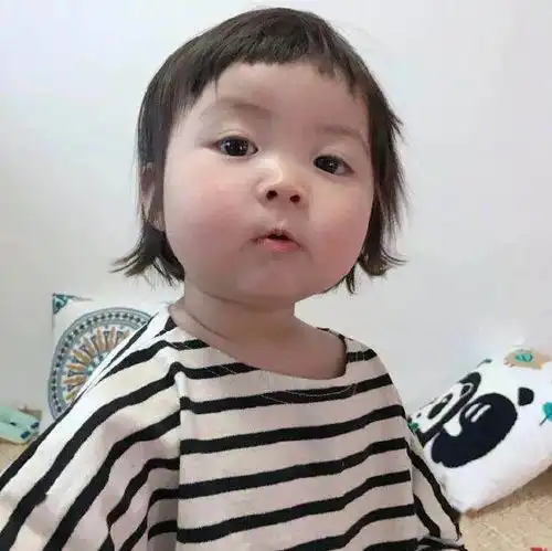 微信头像爱了爱了