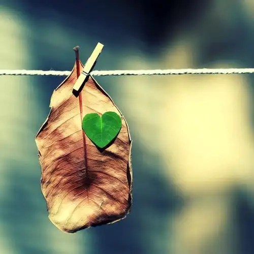 伤口,不要晒给别人看